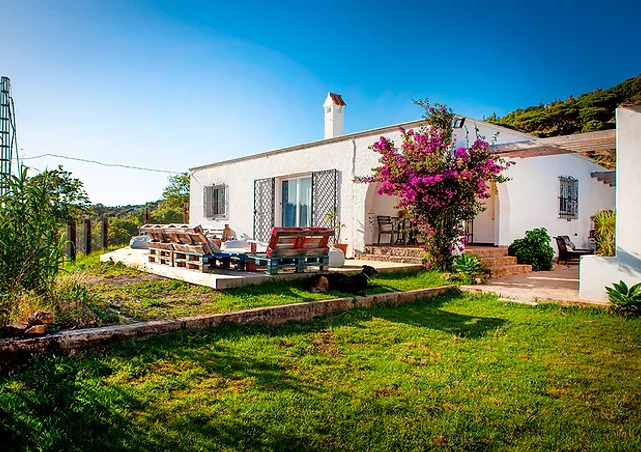 THE_WILD_HOUSE_FOTO_3_1