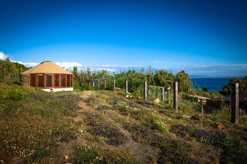 fe539e_0e37fbbecf5541cdbf3ac39a5a09656f~mv2